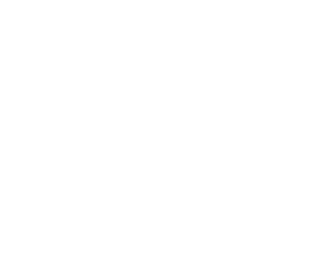 Texto-Bruna Institucional