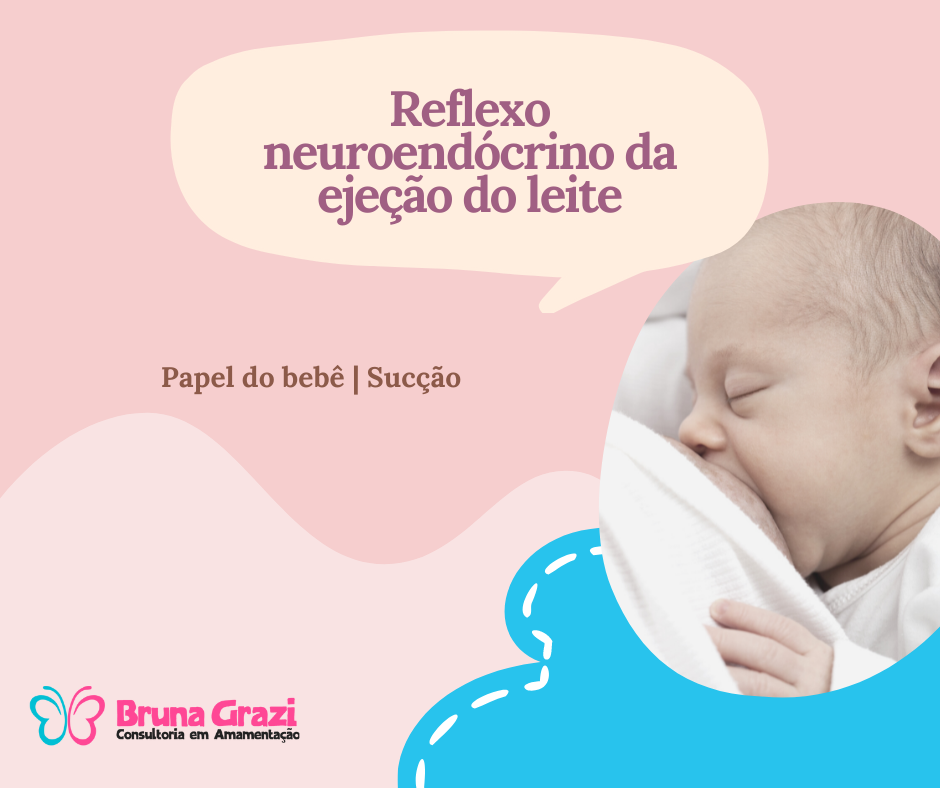 Reflexo-neuroendocrino-da-ejecao-do-leite Bruna Grazi - Consultoria em Amamentação