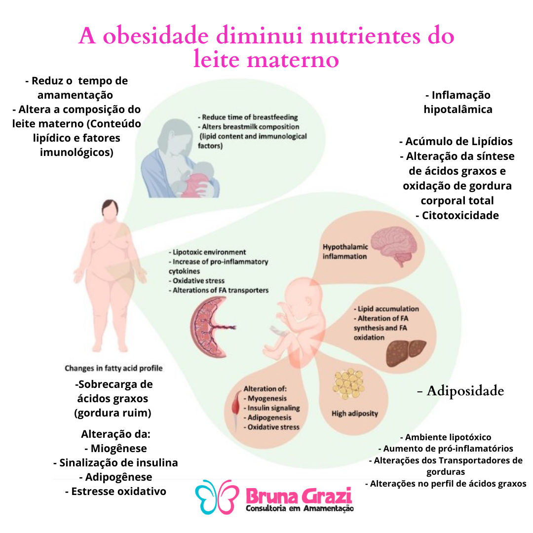 Obesidade-diminui-nutrientes-do-leite-materno Bruna Grazi - Consultoria em Amamentação
