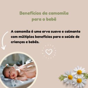 Beauty For B óleo de camomila para massagem corporal - Image 8